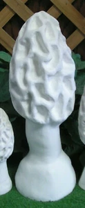 6007 XL große Morchel Morrell Morchella Pilz Latex Fiberglas Produktionsform - Bild 1 von 5