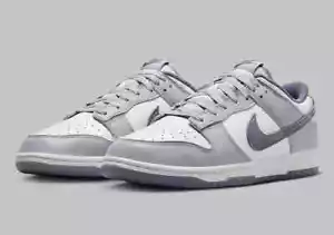 Nike Dunk Low Retro SE White Light Carbon Grey Platinum Tint FJ4188-100 sz 15 - Picture 1 of 8