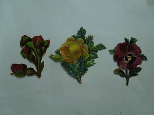 Découpis. Chromo. Fleurs. Roses. Pensées. Sapin.   CL33        - Imagen 1 de 1