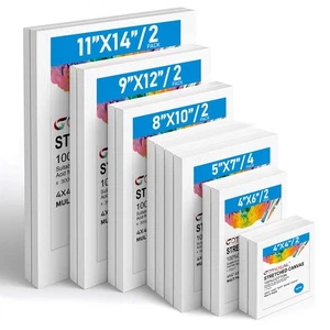 Gotideal Canvas for Painting, 14 Pcs Muti Pack Stretched Painting Canvas, Bl... - Picture 1 of 8