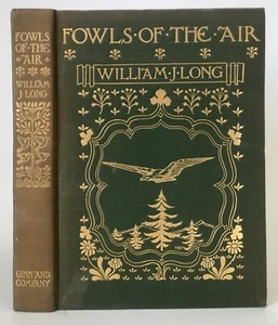 Long FOWLS IN THE AIR Orinthology 1902 Illustrated - Imagen 1 de 12
