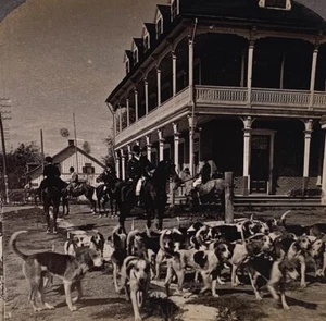 Antique Montreal Hunting Club Hound Dogs Ready to Hunt Stereoview Photo Canada - Picture 1 of 5