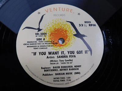 Sandra Feva – If You Want It, You Got It 12" Single 1978 Funk Soul Disco - Image 1 of 4