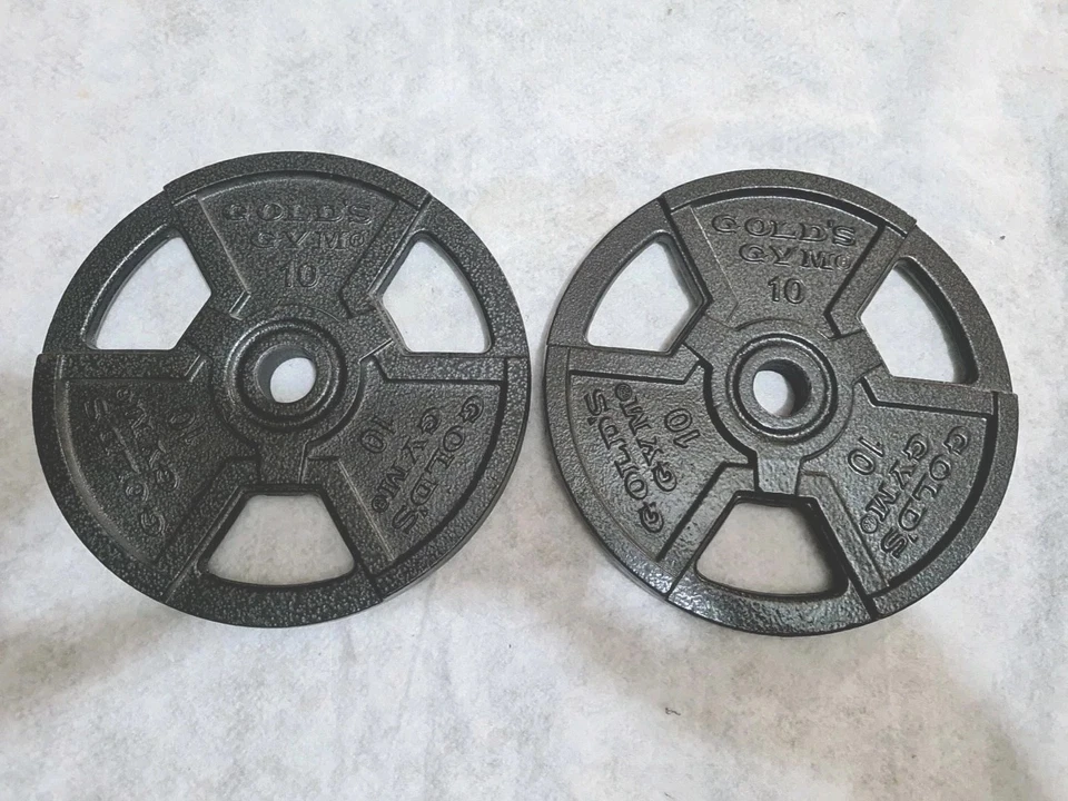 Juego de 2 placas de peso con barra de hierro fundido Gold's Gym de 10 lb 20 libras en total 1"" agujero Foto 1 de 2