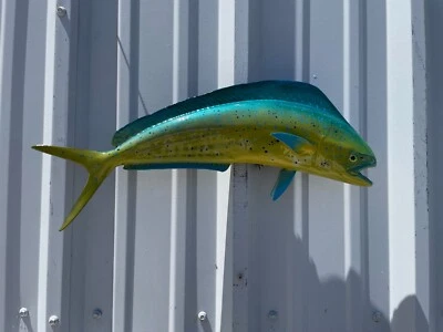 22" Bull Dolphin (Mahi) dois lados montagem na parede réplica de peixe - produção rápida - Imagem 1 de 3