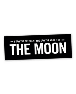The Waterboys Sticker! "Whole Of The Moon " & This Is the Sea 80s Mike Scott - Bild 1 von 6