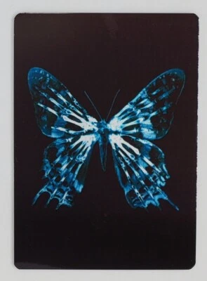 2016 An Fransen Jahreszeiten 5 Metall Glyph F1 Schmetterling (Pr = 200) - Bild 1 von 3