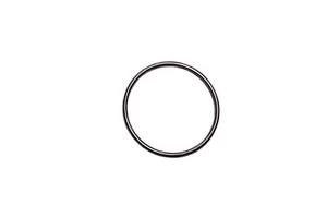 Genuine GM Converter & Pipe Gasket 24505057 - Picture 1 of 1