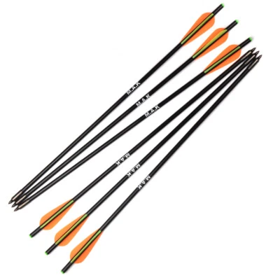 6Pcs 20" Fiberglass Crossbow Archery Arrows 8mm Tips Bow For Hunting Practice - Image 1 of 4