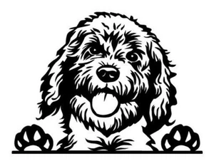 Vinyl Decal- Peeking Golden Doodle Dog (Pick Size & Color) Car Truck Sticker - Bild 1 von 1