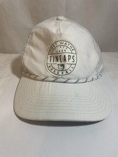 Fort Wayne TinCaps Baseball