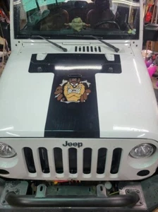 TASMANIAN DEVIL TAZ LOONEY TUNES 12" H DECAL STICKER CAR TRUCK WINDOW CARTOON - Picture 1 of 1