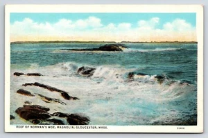 Postal Reef of Norman's Woe, Magnolia, Gloucester, MA, Ocean Surf - Imagen 1 de 2