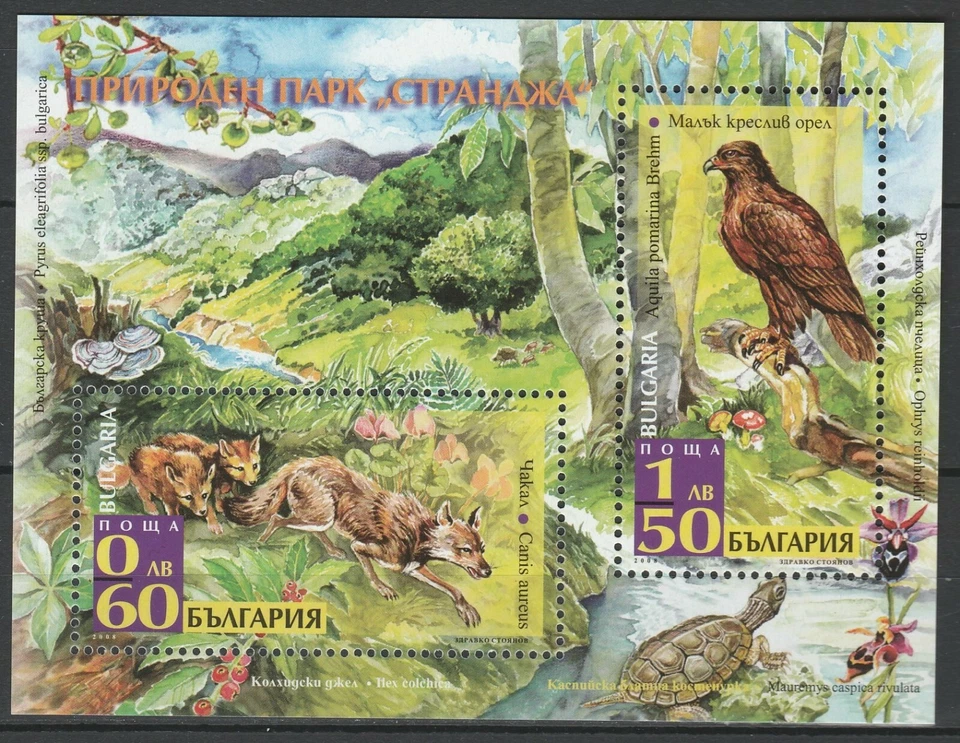 Bulgaria 2008 Fauna, animales, aves bloque MNH Foto 1 de 1