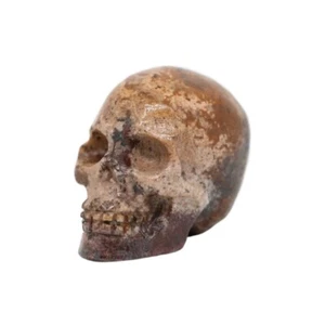 1.8" NATURAL AGATE Carved Crystal Skull Realistic Crystal Healing - Imagen 1 de 7