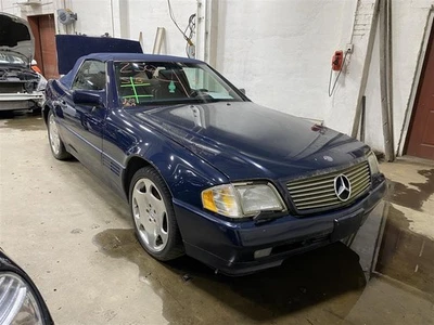 GRILL 300SL 600SL 500SL 1990 90 1991 91 92 93 94 95 1427942 - Image 1 of 4