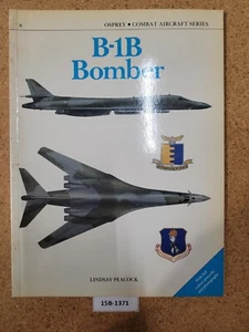 B-1B Bomber ~ Lindsay Peacock OSPREY (Kampfflugzeug Serie #8) - Bild 1 von 3
