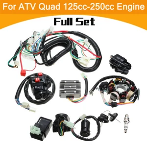 Full Wiring Harness Stator Loom Coil Rectifier CDI QUAD Rectifier 125-250cc ATV - Picture 1 of 9