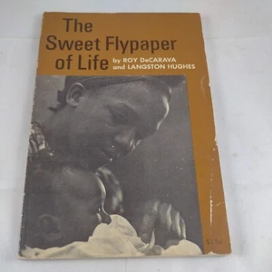 Roy DeCarava Langston Hughes THE SWEET FLYPAPER OF LIFE~ 1st Hill and Wang - Picture 1 of 5