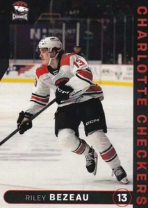 2024-25 Charlotte Checkers Riley Bezeau AHL Panthers Saint John Sea Dogs - Bild 1 von 1