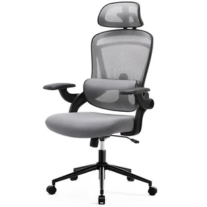 MCQ Ergonomic Office Chair - High Back Desk Chair with Up&Down Lumbar Support - Picture 1 of 7