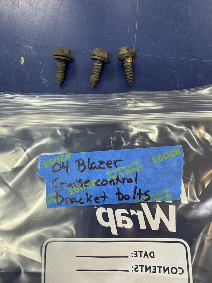 Chevrolet Blazer 2004 pernos de soporte de control de crucero Foto 1 de 1