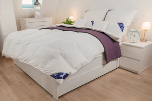 LUXUS DAUNEN DECKE BETTDECKE STEPPDECKE 135X200-155X200-155X220-200x200-200X220 - Bild 1 von 18