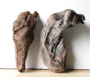 Treibholz Schwemmholz Driftwood 2 knorrige  Hölzer Terrarium 30-29 cm *134* - Bild 1 von 13