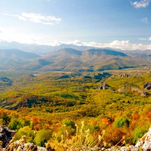 PAY MONTHLY - 10,000 SQM FOREST Bulgaria - Bulgarian property - PAY MONTHLY - Picture 1 of 22