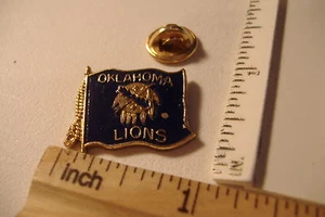 ~OKLAHOMA LIONS~FLAG SHAPE~LIONS PIN~ - Picture 1 of 2