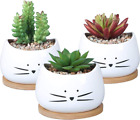 3.2 Inch Cute Cat Ceramic Succulent Planter Pots With Removable Saucer Unique Ca