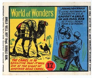 Anglo Wax Wrapper World of Wonders #17 Frank Druckman Camel - Picture 1 of 1