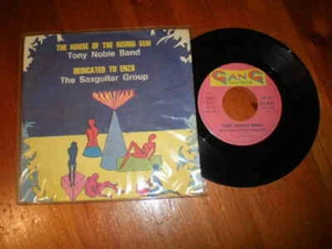 TONY NOBLE BAND-The house of the rising sun/Dedicated to Enza-45 giri-GANG-1977- - Foto 1 di 1