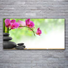 Acrylic print Wall art 120x60 Image Picture Bamboo Tube Flower Stones Art