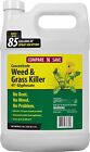 Compare-N-Save Concentrate Grass And Weed Killer, 41-Percent Glyphosate 1-Gallon