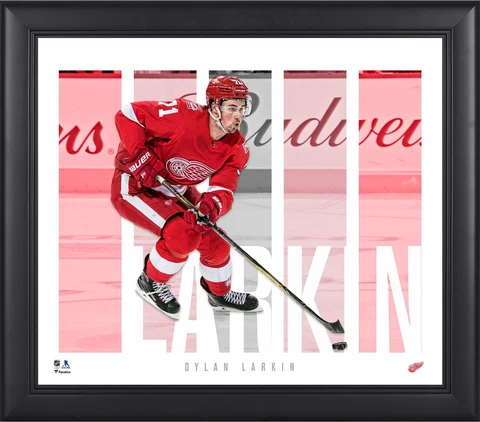 Dylan Larkin Detroit Red Wings Framed 15x17 Player Panel Collage Cover
