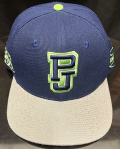 Gorra Pearl Jam 2018 Seattle Tour Concierto Mercancía Azul y Verde Snapback - Imagen 1 de 5