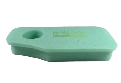 PERFETTOGIARDINO Filtro aria per motore Briggs & Stratton B&S 10-11 CV 220700 / 270843S 5046B