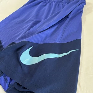 Nike Dri Fit blau Farbblock Kordelzug Gym Shorts Größe Large - Bild 1 von 8