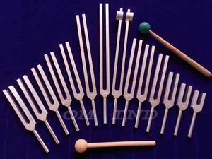 Meridian acupuncture Tuning forks 14 pc  With Wood & Rubber ball mallet+ Pouch - Picture 1 of 6