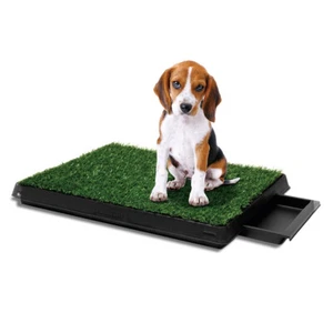 Indoor Dog Pet Potty Zoom Training Portable Grass Mat Toilet Large Loo Pad Tray - Picture 1 of 13