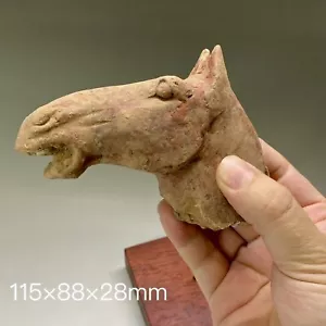 A20 CHINESE painted Pottery head of Horse. Tang Dynasty 唐代彩绘马头 NO STAND 🐴 - Picture 1 of 11