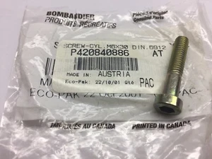 QTY 4 NEW NOS BRP 420840886 SCREW-CYLINDER M6X30 - Bild 1 von 1