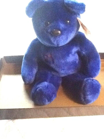 Sammy Sosa Bear & Matted Poster Cover