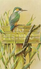 Open Happy Birthday Vintage Greeting Card Kingfisher Alan Fairbrass Royle Birds