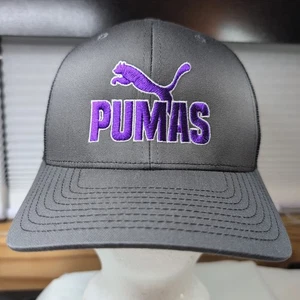 Richardson Brand PUMAS Gray & Purple Mesh Snapback Hat - Picture 1 of 10