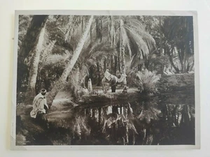 PHOTO ANCIENNE "TUNIS" LEHNERT ET LANDROCK PHOTOGRAPHIE TUNIS.OLD PHOTOGRAPHY - Bild 1 von 9