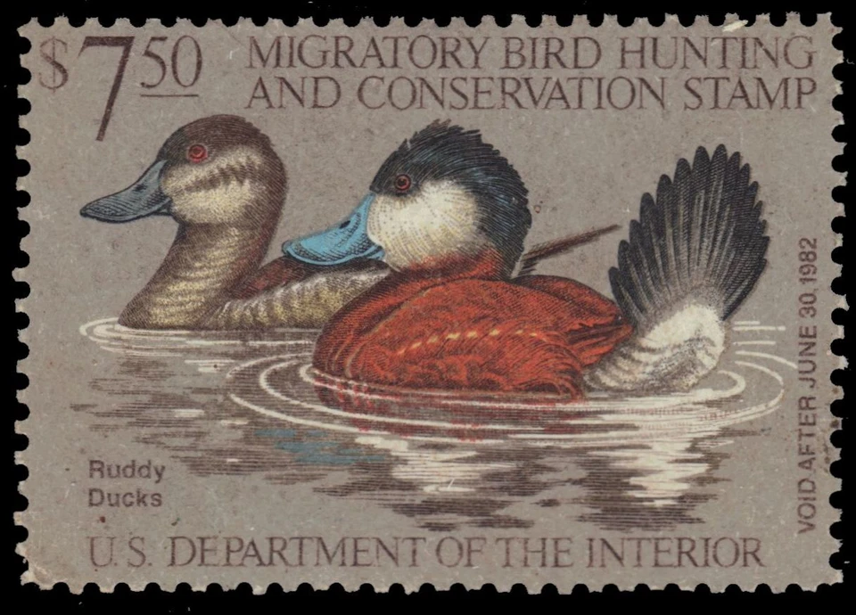 UNITED STATES RW48 - Hunting Permit "Ruddy Ducks" (pa60802) - Image 1 of 1