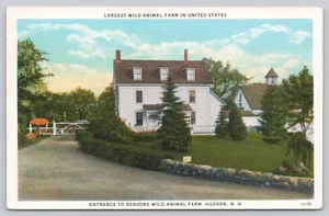 Postcard Hudson New Hampshire Entrance to Bensons Wild Animal Farm - Picture 1 of 5