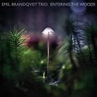 Emil Brandqvist Trio Entering the Woods (CD)